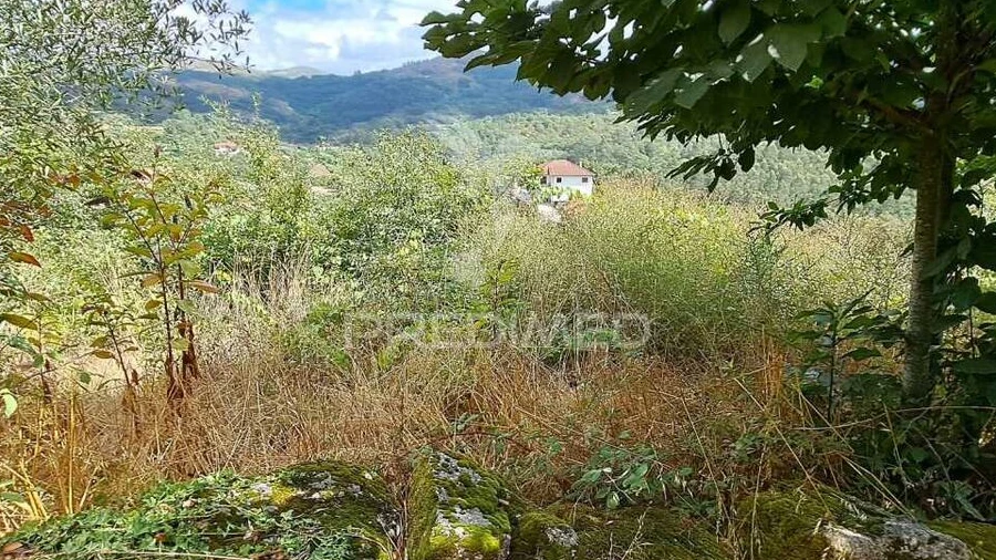 Terreno para Venda em Rossas