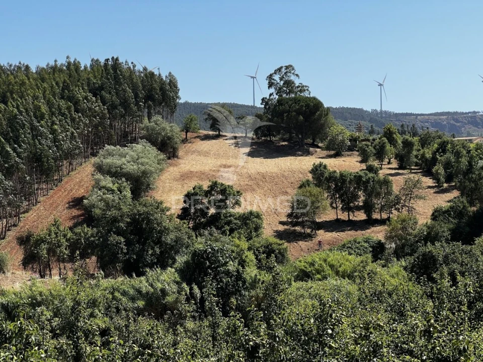 Moradia T3 para Venda em Landal Foto 6