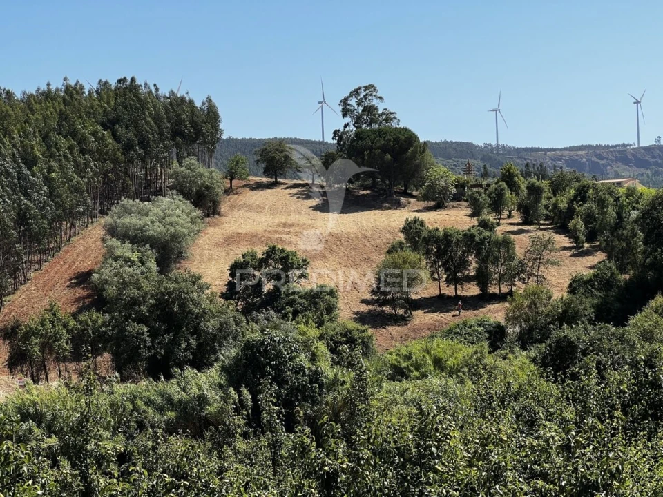 Moradia T3 para Venda em Landal Foto 12