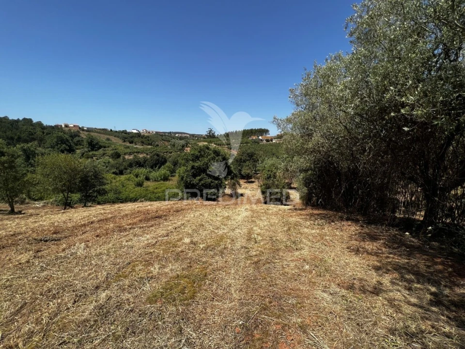 Moradia T3 para Venda em Landal Foto 15