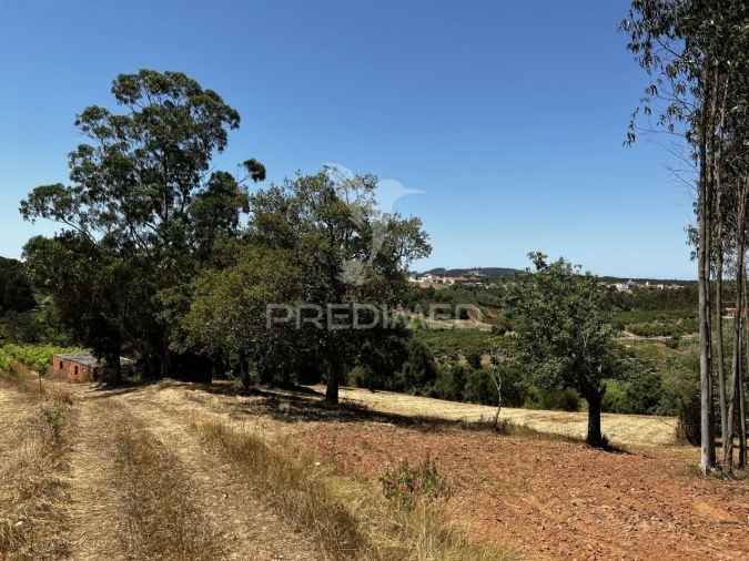 Moradia T3 para Venda em Landal Foto 19