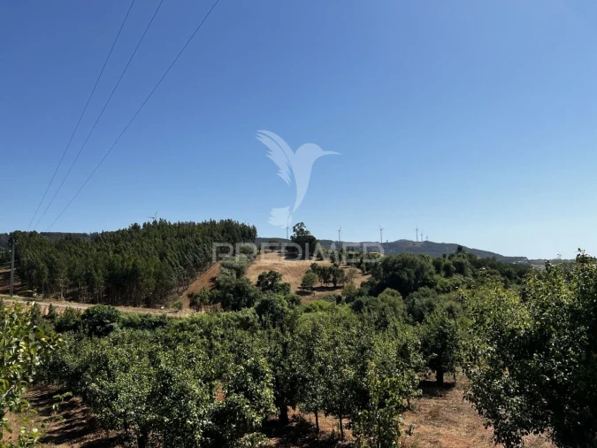 Moradia T3 para Venda em Landal Foto 13