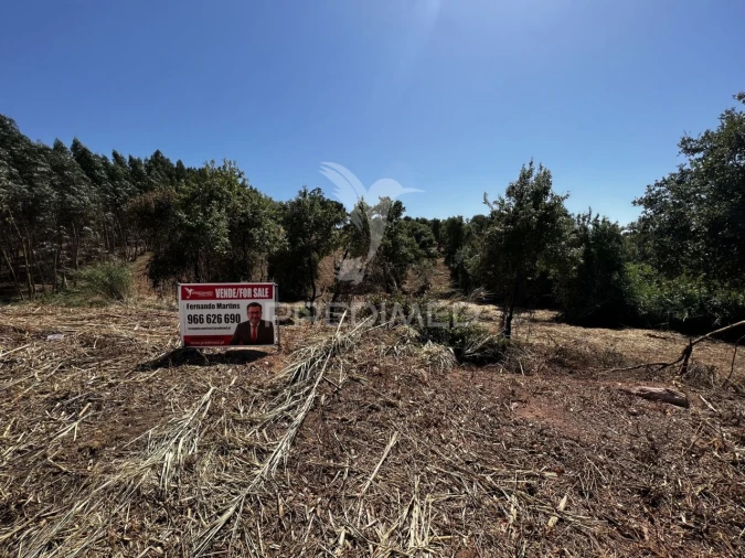 Moradia T3 para Venda em Landal Foto 20