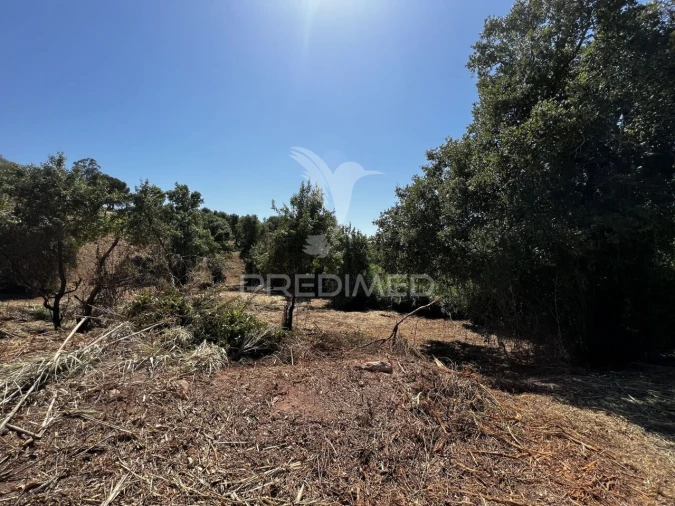 Moradia T3 para Venda em Landal Foto 21