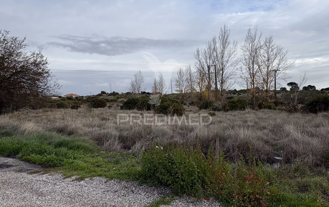 Terreno para Venda em Zibreira Foto 3