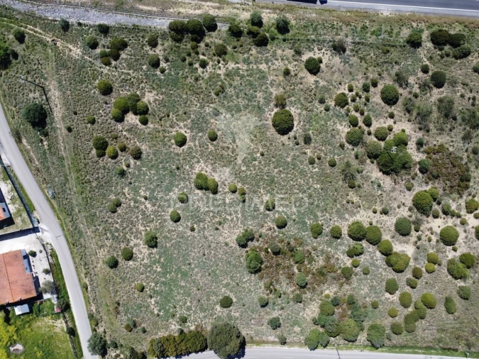 Terreno para Venda em Zibreira Foto 14