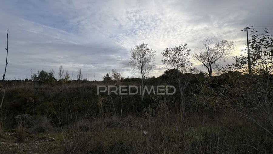 Terreno para Venda em Zibreira