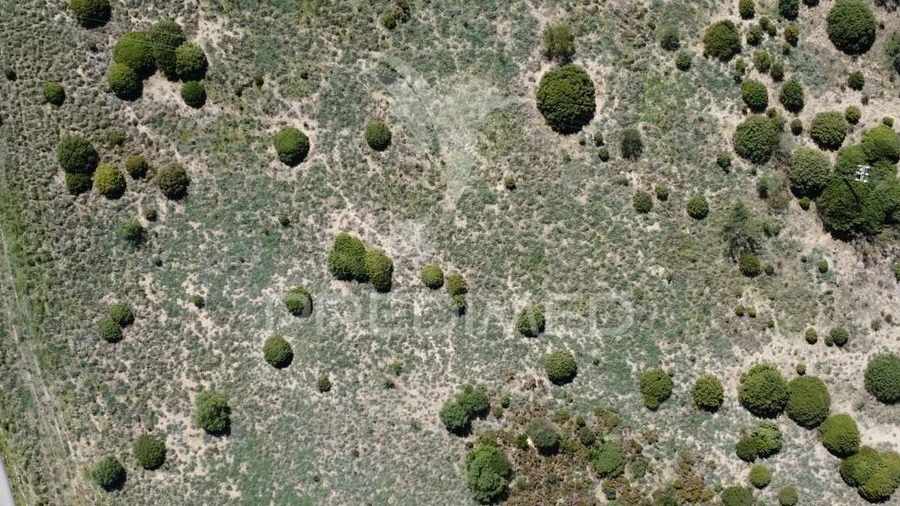 Terreno para Venda em Zibreira