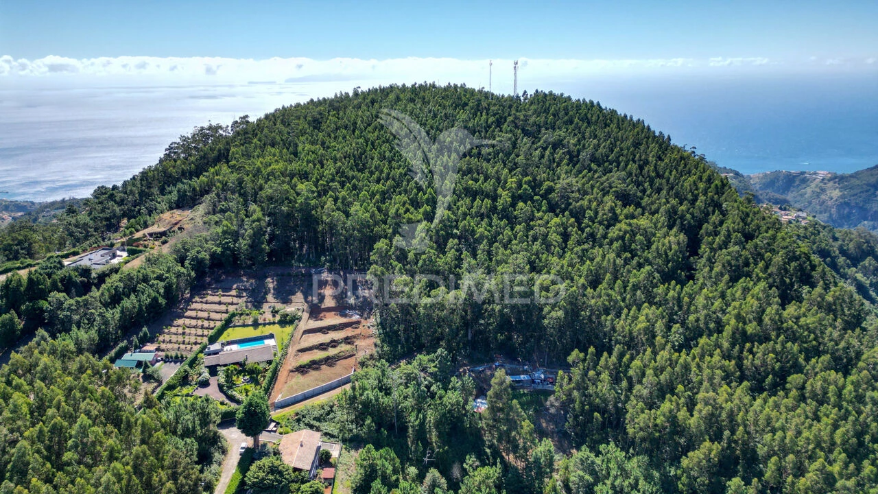 Terreno para Venda em Gaula Foto 1