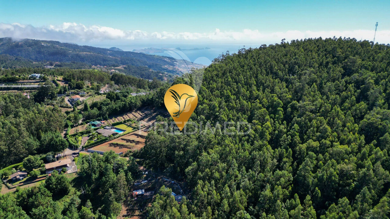 Terreno para Venda em Gaula Foto 7