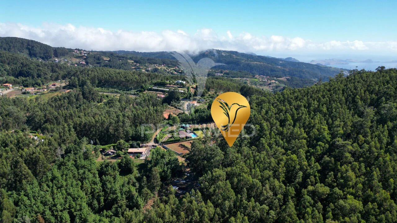 Terreno para Venda em Gaula Foto 6