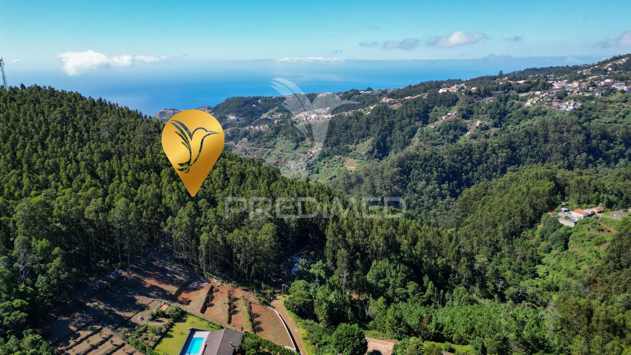 Terreno para Venda em Gaula Foto 3