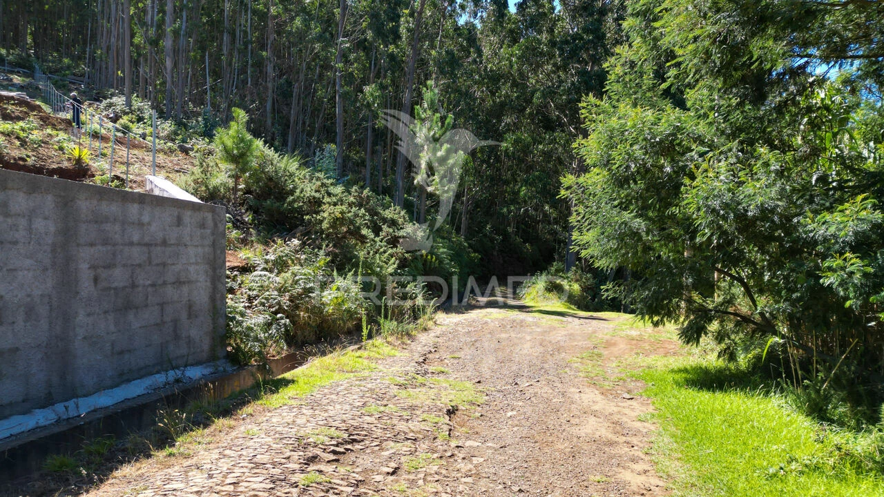 Terreno para Venda em Gaula Foto 10