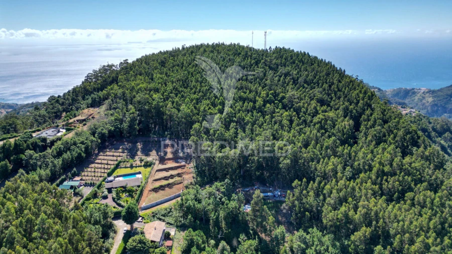 Terreno para Venda em Gaula Foto 1
