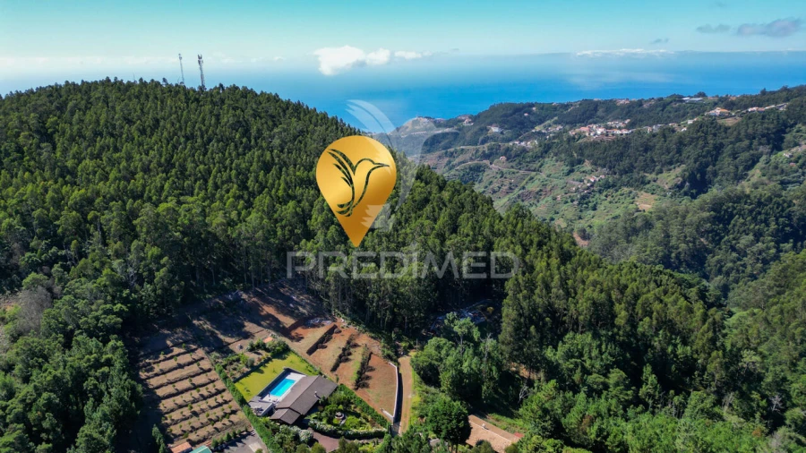 Terreno para Venda em Gaula Foto 2