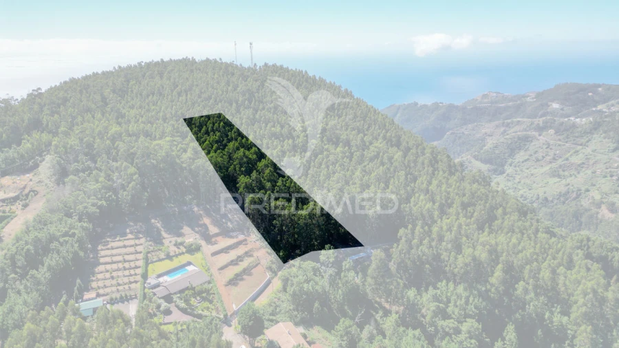 Terreno para Venda em Gaula Foto 12