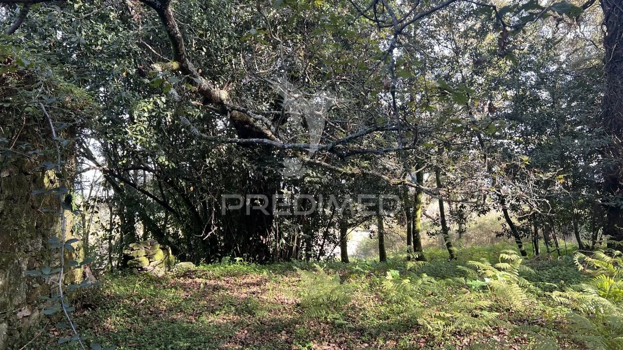 Moradia T0 para Venda em Turiz Foto 15