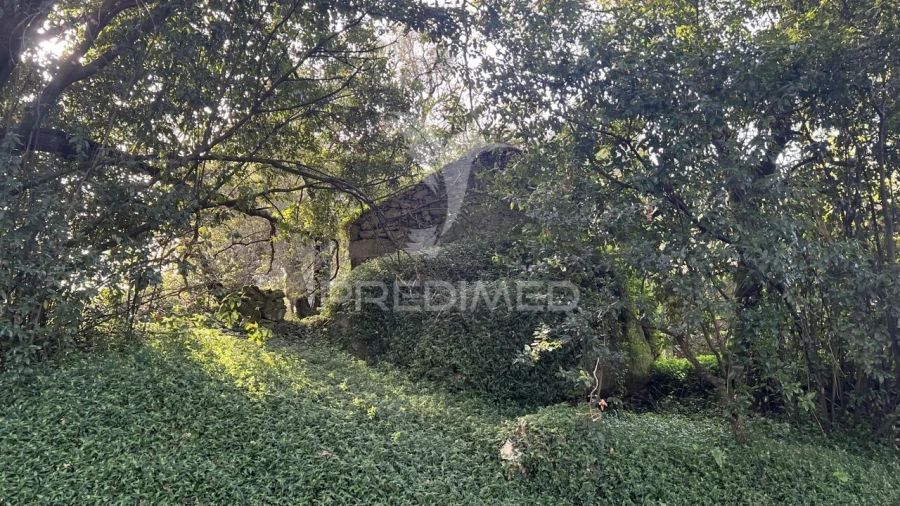 Moradia T0 para Venda em Turiz Foto 17