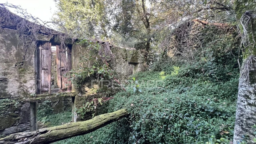 Moradia T0 para Venda em Turiz Foto 7