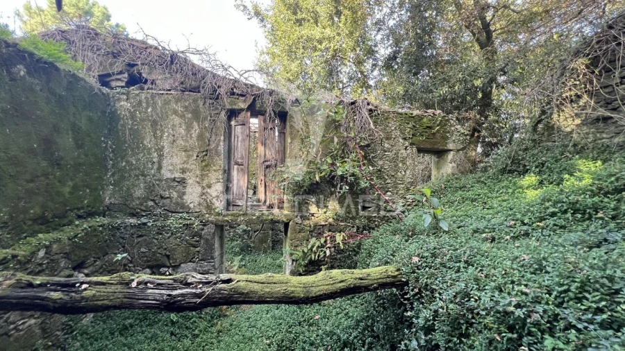 Moradia T0 para Venda em Turiz Foto 5