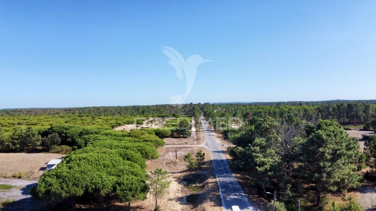 Terreno para Venda em Comporta Foto 5