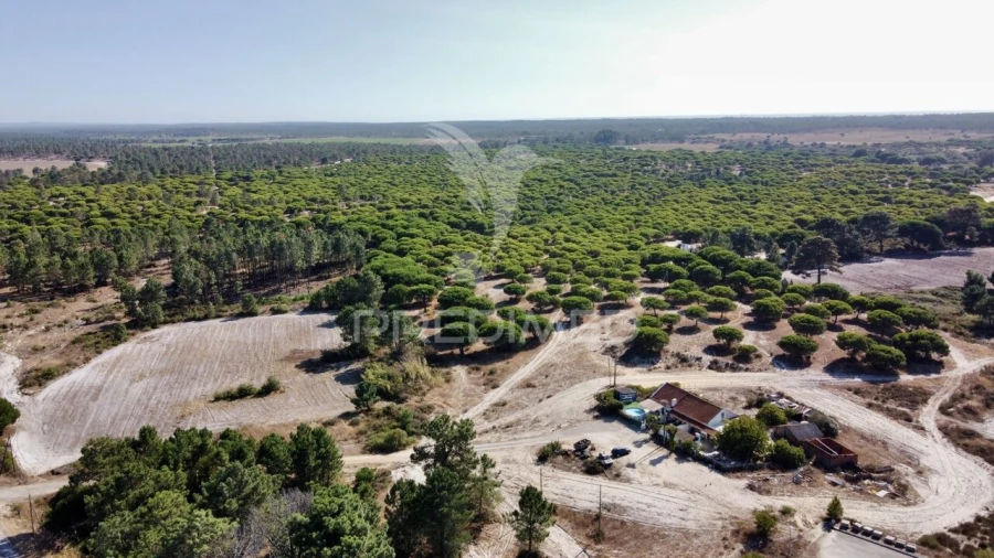 Terreno para Venda em Comporta Foto 7