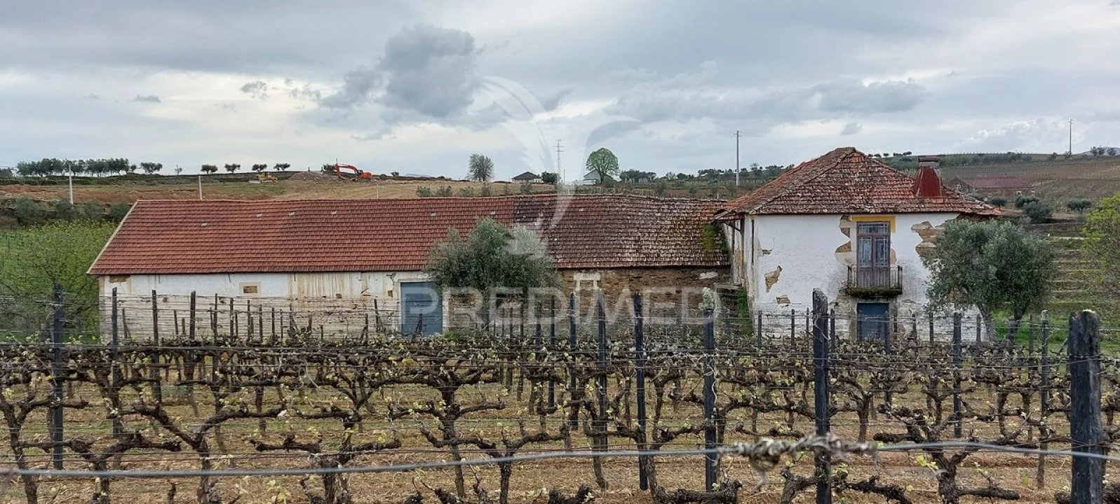 Quinta T5 para Venda em Favaios Foto 7