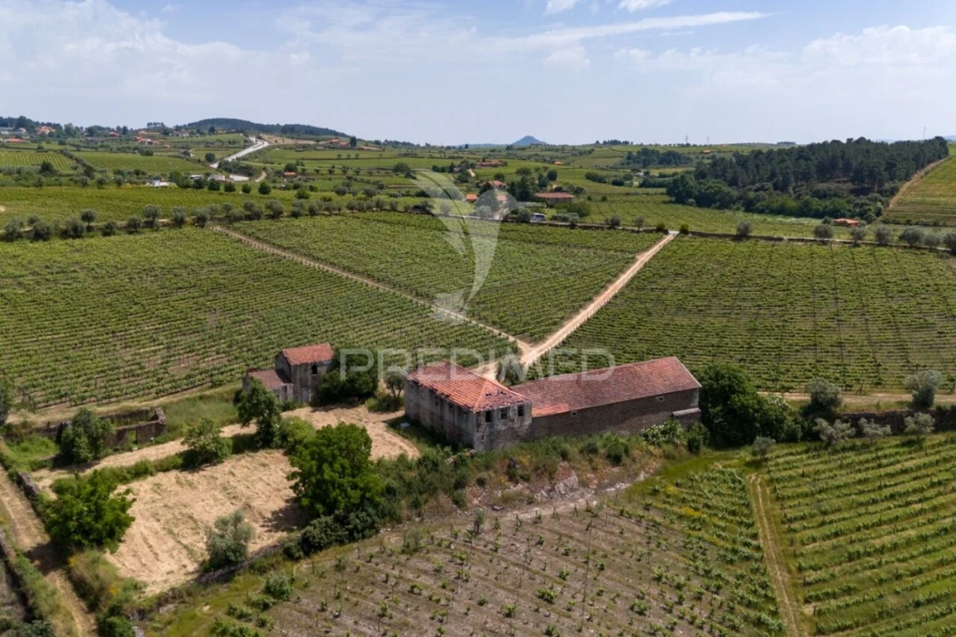 Quinta T5 para Venda em Favaios Foto 11