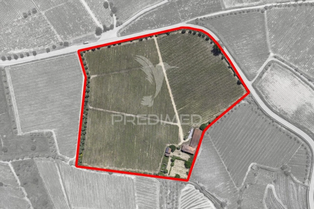 Quinta T5 para Venda em Favaios Foto 10