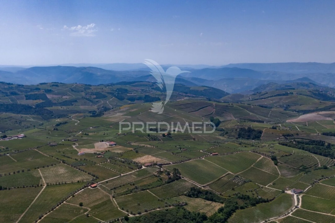 Quinta T5 para Venda em Favaios Foto 24