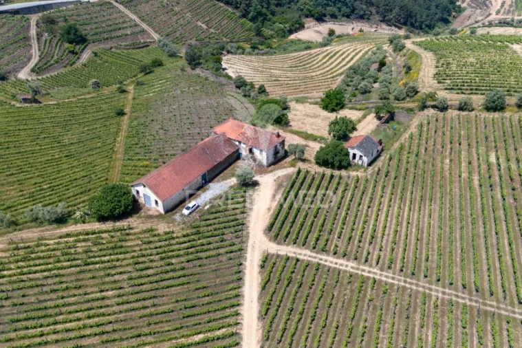 Quinta T5 para Venda em Favaios Foto 22