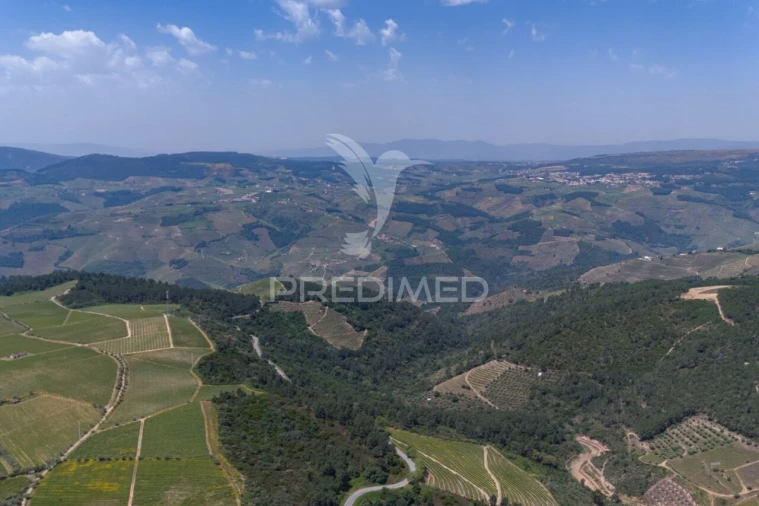 Quinta T5 para Venda em Favaios Foto 14