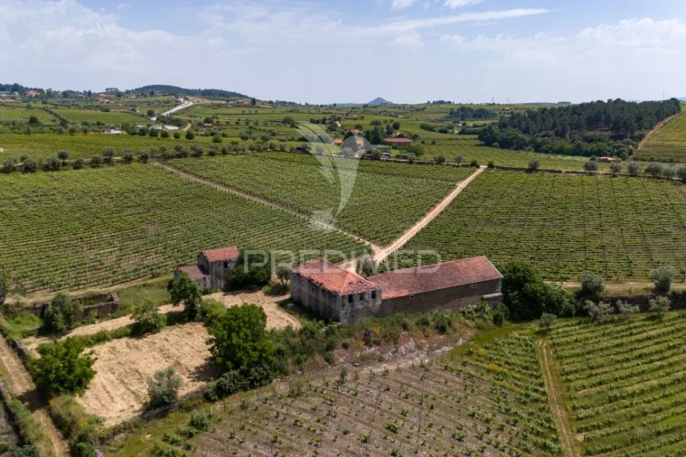 Quinta T5 para Venda em Favaios Foto 11