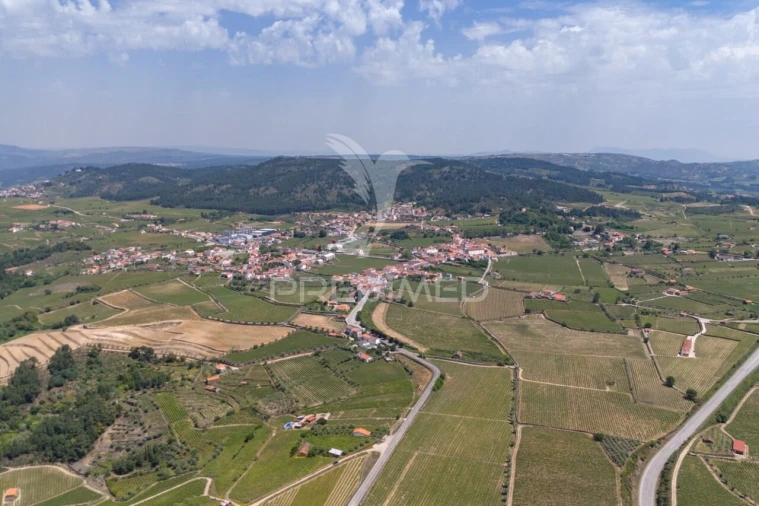 Quinta T5 para Venda em Favaios Foto 19