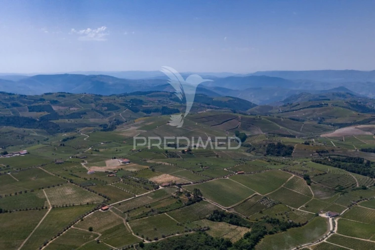 Quinta T5 para Venda em Favaios Foto 24