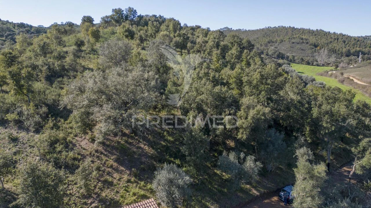 Quinta T2 para Venda em São Martinho das Amoreiras Foto 24