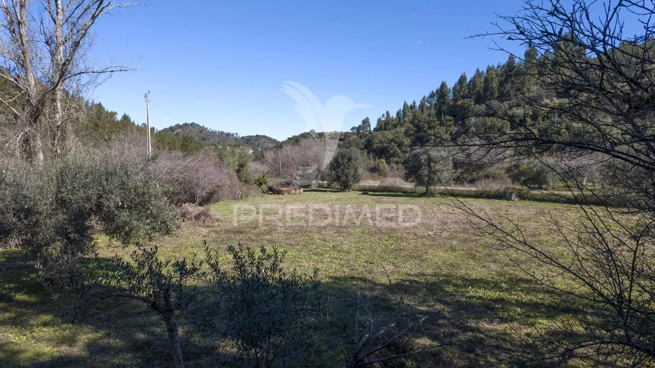 Quinta T2 para Venda em São Martinho das Amoreiras Foto 19