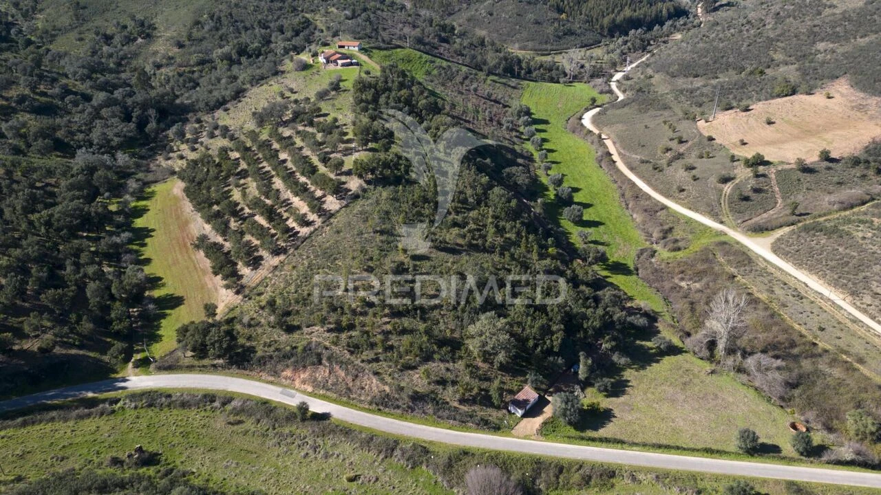 Quinta T2 para Venda em São Martinho das Amoreiras Foto 3