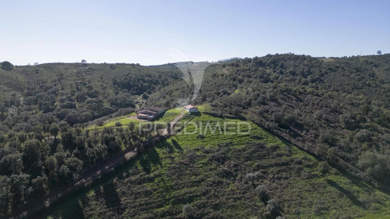 Quinta T2 para Venda em São Martinho das Amoreiras Foto 8