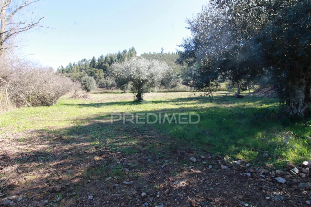 Quinta T2 para Venda em São Martinho das Amoreiras Foto 22