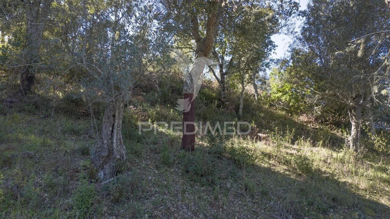 Quinta T2 para Venda em São Martinho das Amoreiras Foto 27