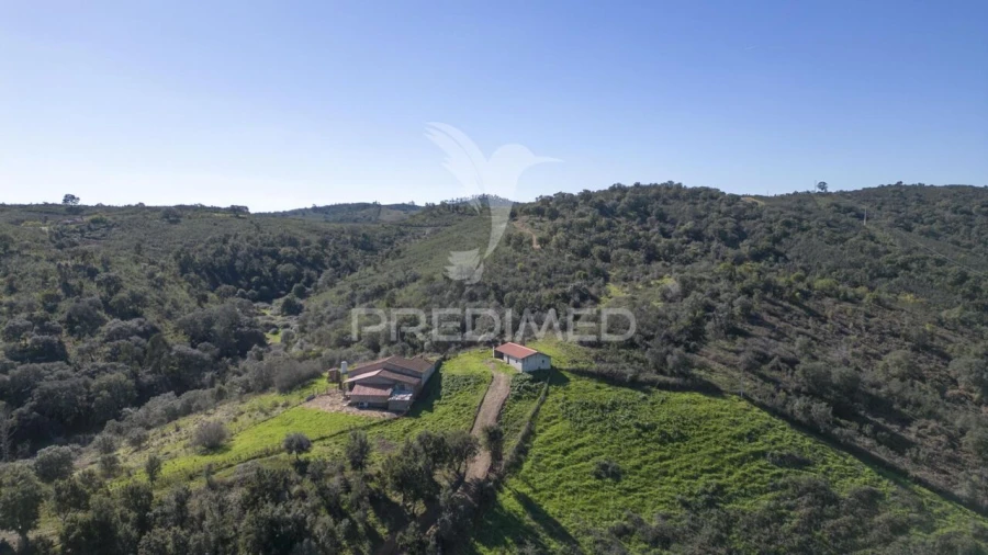 Quinta T2 para Venda em São Martinho das Amoreiras Foto 6