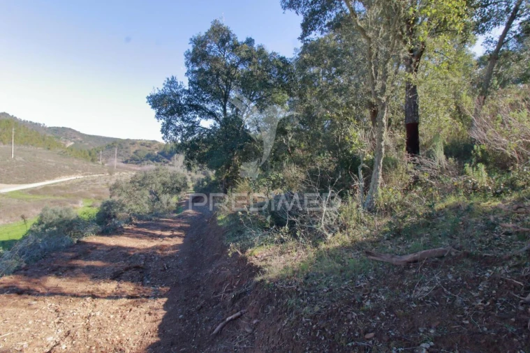 Quinta T2 para Venda em São Martinho das Amoreiras Foto 23