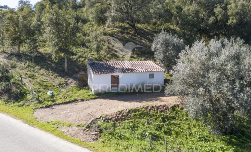 Quinta T2 para Venda em São Martinho das Amoreiras Foto 16