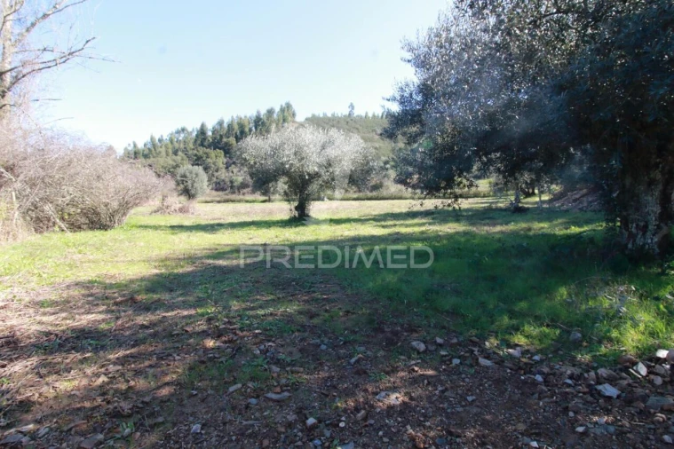 Quinta T2 para Venda em São Martinho das Amoreiras Foto 22