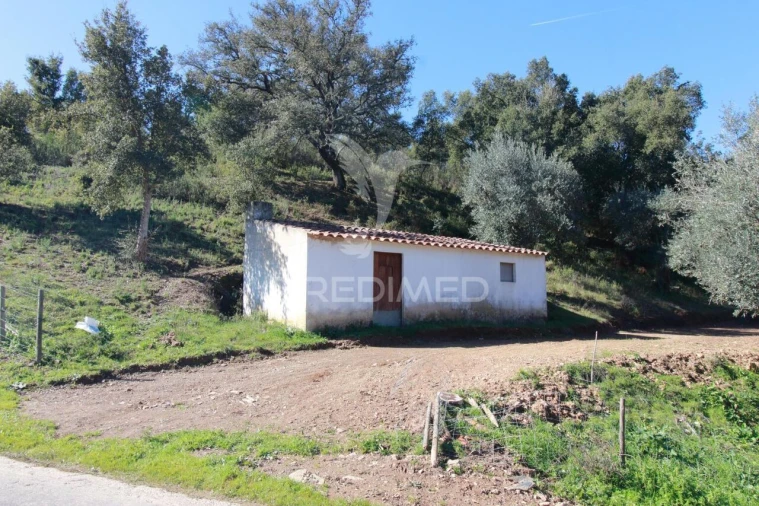 Quinta T2 para Venda em São Martinho das Amoreiras Foto 15