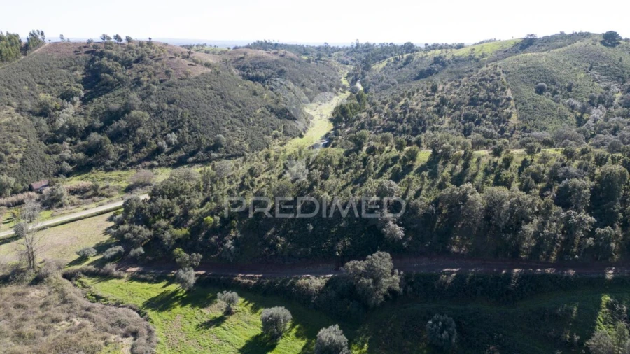 Quinta T2 para Venda em São Martinho das Amoreiras Foto 26