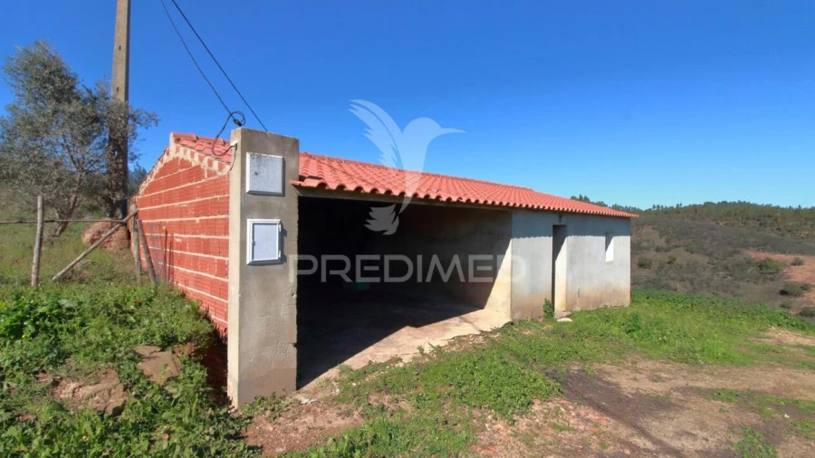 Quinta T2 para Venda em São Martinho das Amoreiras