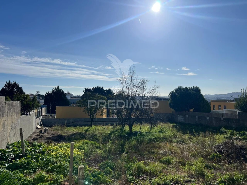 Terreno para Venda em Campanhã Foto 6