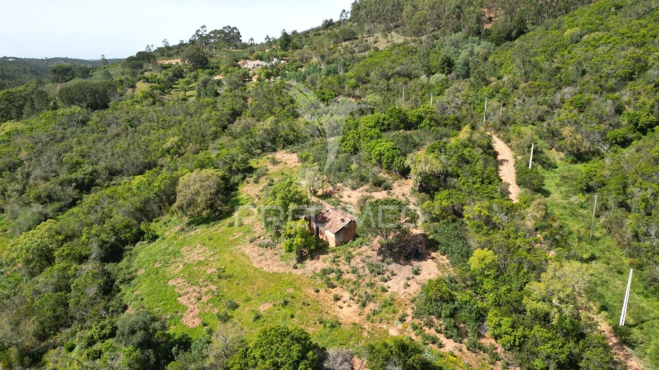 Quinta T0 para Venda em São Teotónio Foto 3